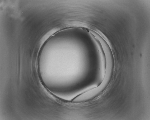 X0000083641293200703051651