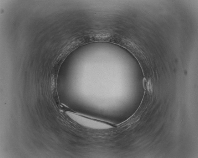 X0000083641299200703051650