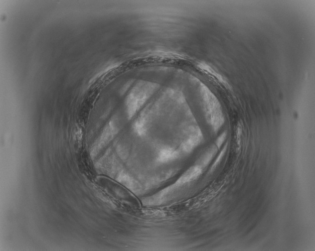 X0000083641302200703051650