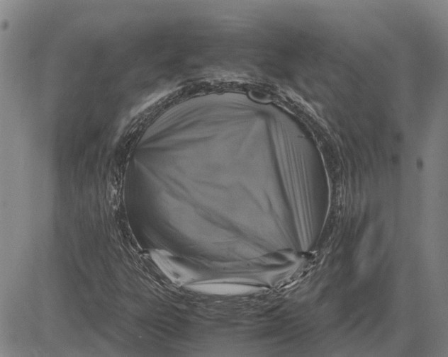 X0000083641303200703051650