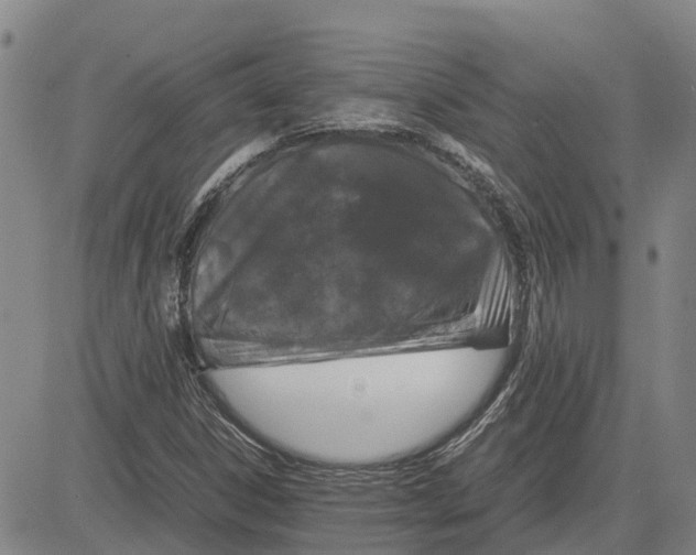 X0000083641306200703051650