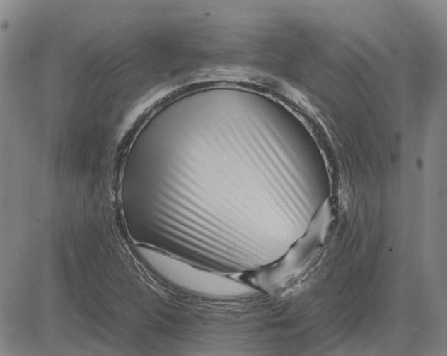 X0000083641312200703051650