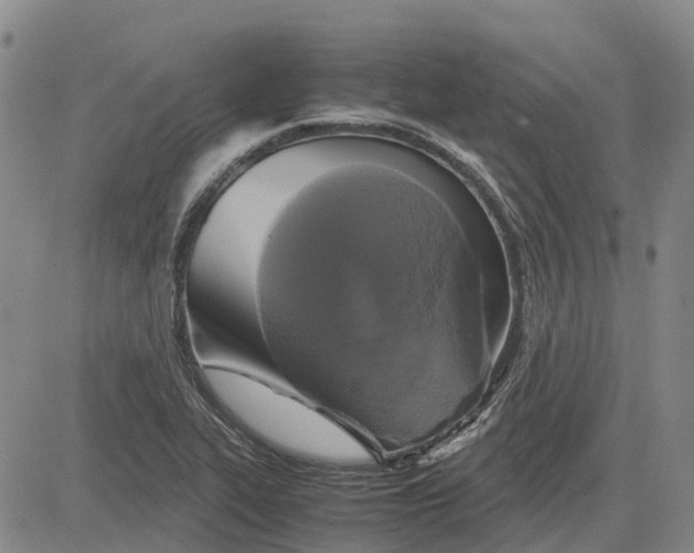 X0000083641319200703051650