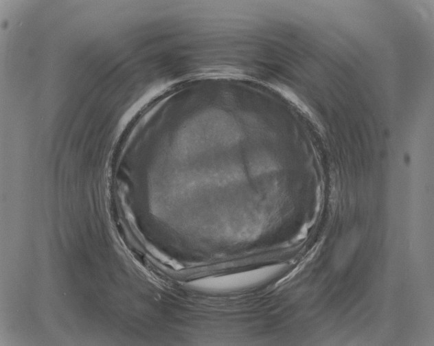X0000083641325200703051651