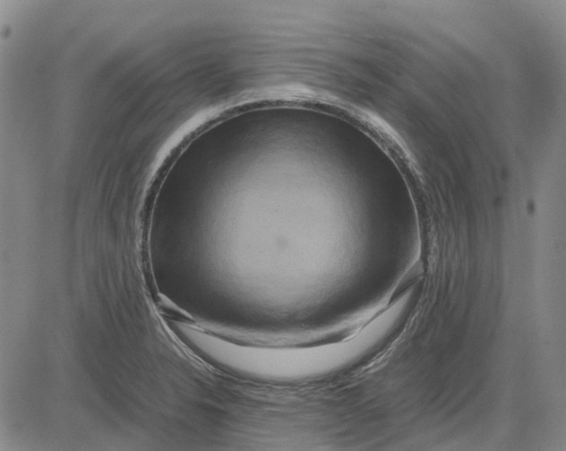 X0000083641326200703051651