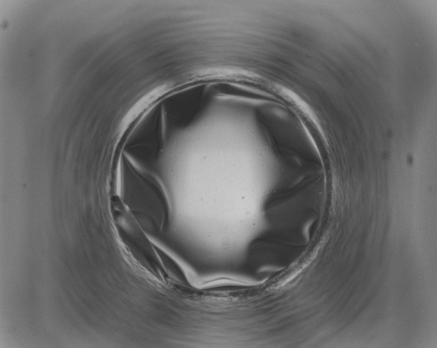 X0000083641330200703051651