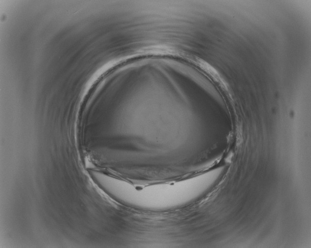 X0000083641334200703051651