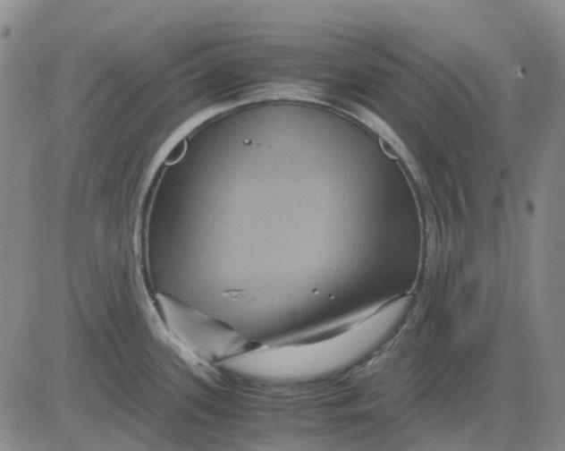 X0000083641339200703051651