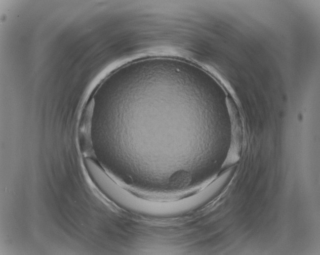 X0000083641342200703051651