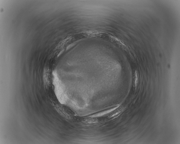 X0000083641346200703051650