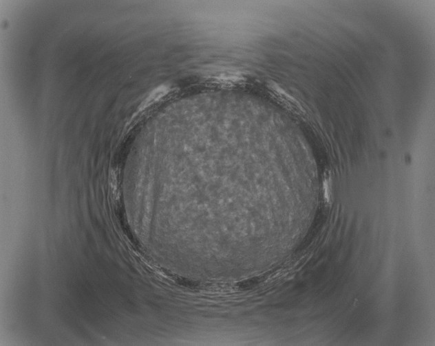 X0000083641347200703051650