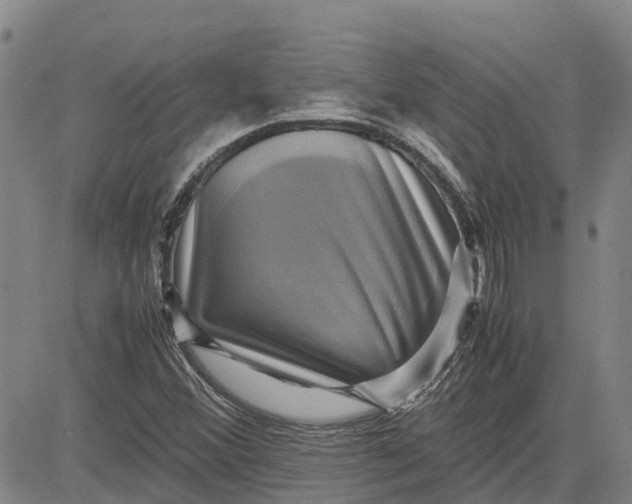 X0000083641356200703051650