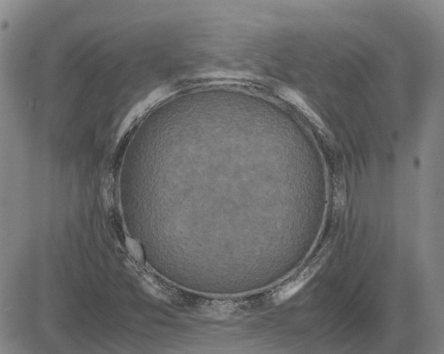 X0000083641357200703051650