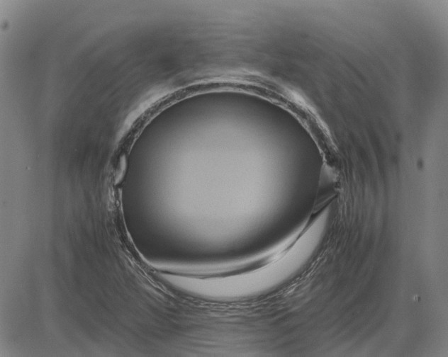 X0000083641360200703051650