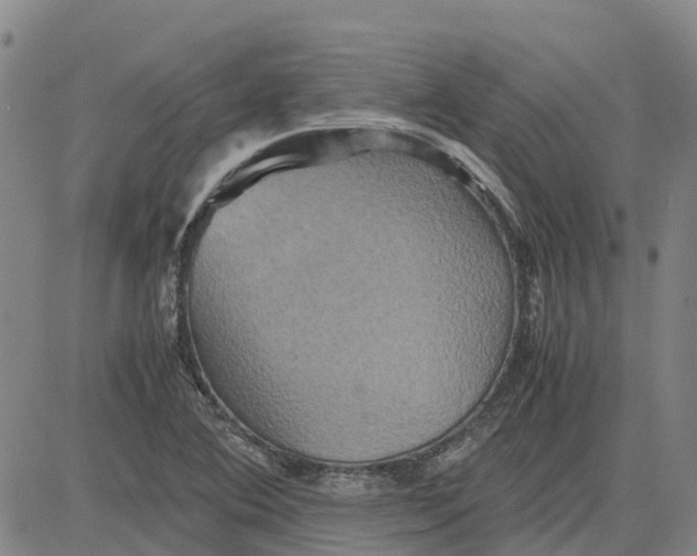 X0000083641364200703051650
