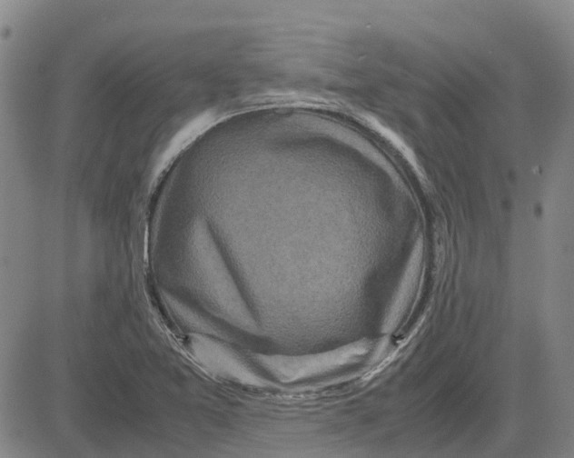 X0000083641365200703051650