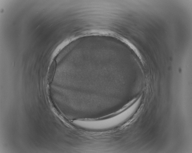 X0000083641373200703051650