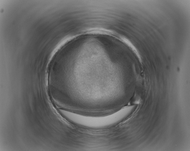 X0000083641376200703051650