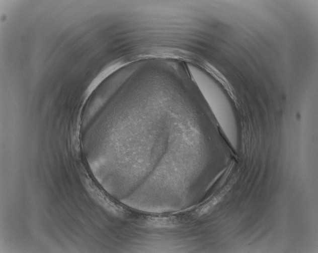 X0000083641378200703051650
