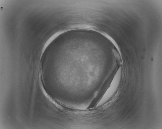 X0000083641389200703051649