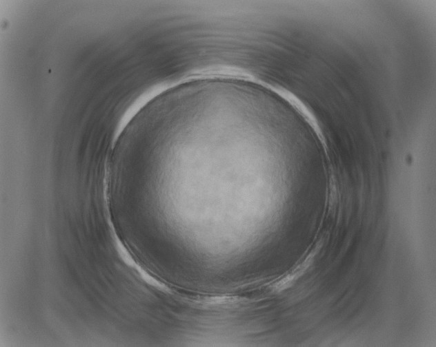 X0000083641390200703051649
