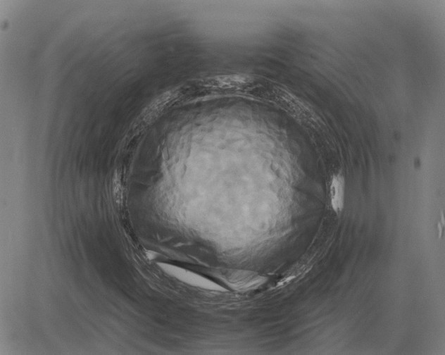 X0000083641395200703051649