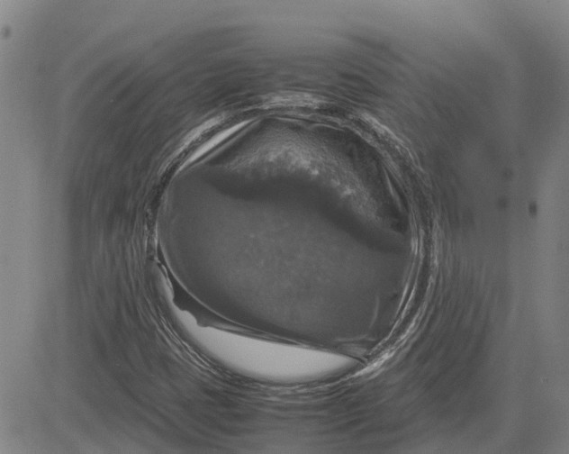 X0000083641401200703051649