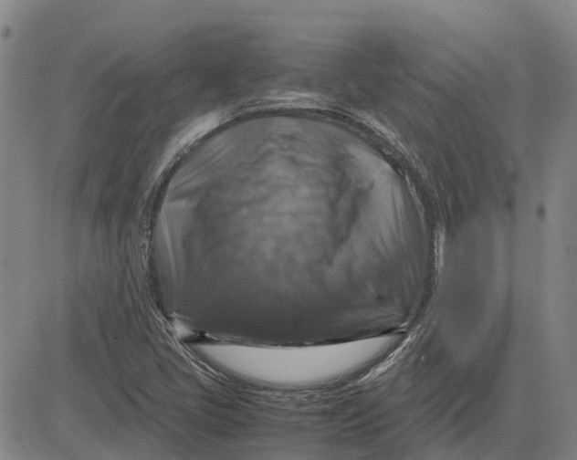 X0000083641405200703051649