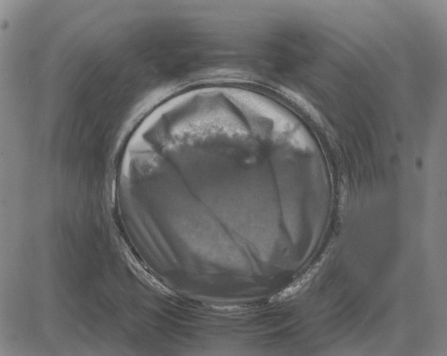 X0000083641413200703051649