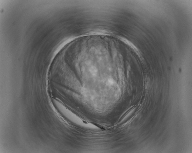 X0000083641423200703051649