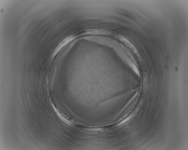 X0000083641425200703051649