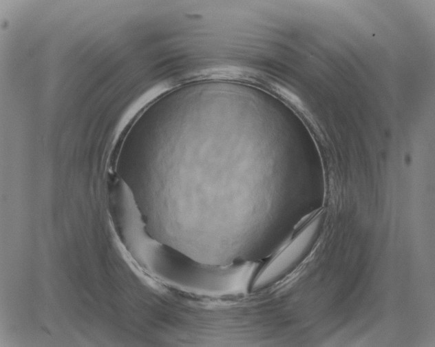 X0000083641426200703051649