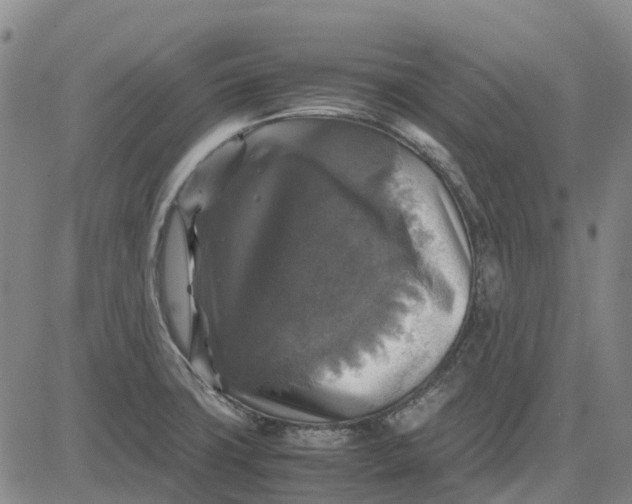 X0000083641427200703051649