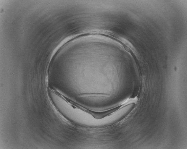 X0000083641428200703051649