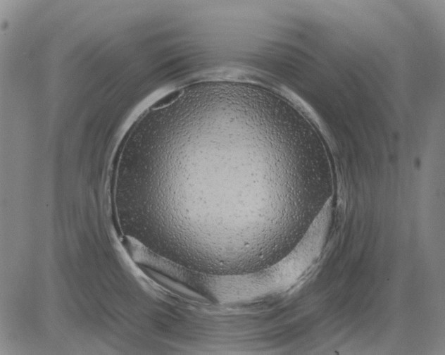X0000083641434200703051649