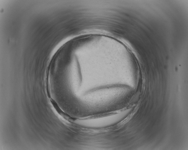 X0000083641438200703051649