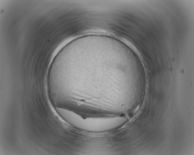 X0000083641440200703051649