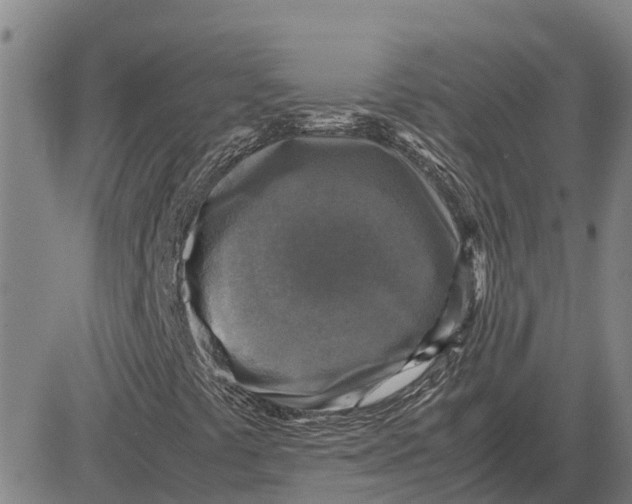 X0000083641441200703051648