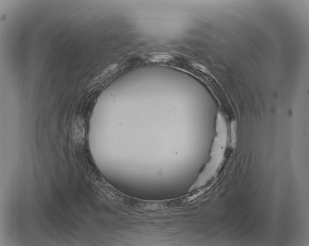 X0000083641443200703051648