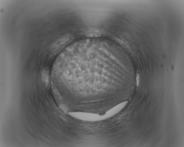 X0000083641444200703051648