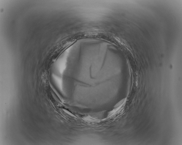 X0000083641445200703051648