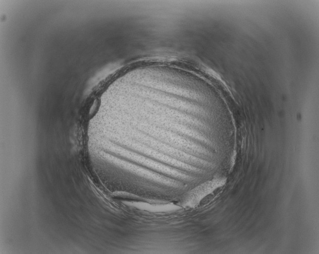 X0000083641448200703051648