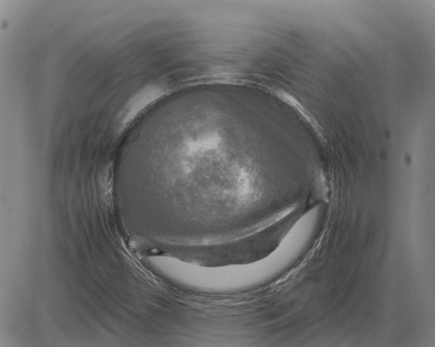 X0000083641450200703051648