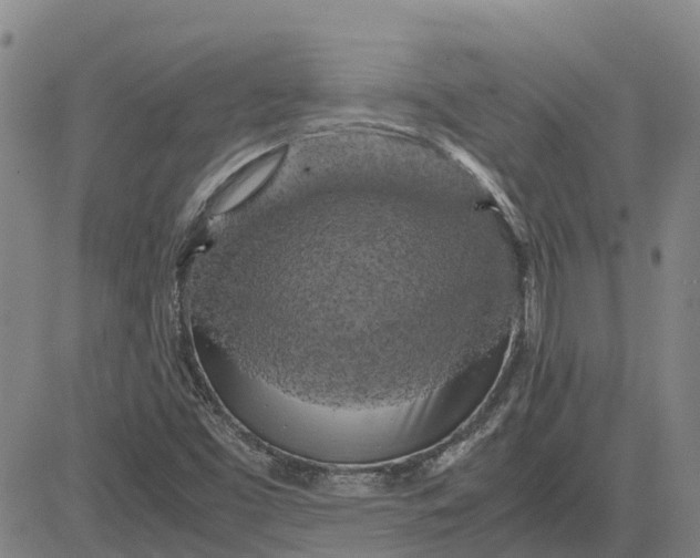 X0000083641453200703051648