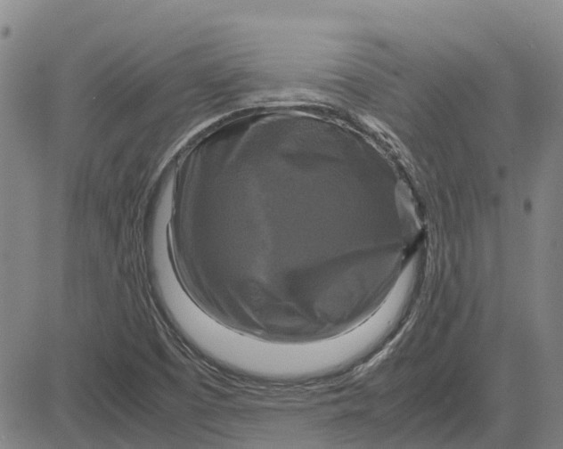 X0000083641457200703051648