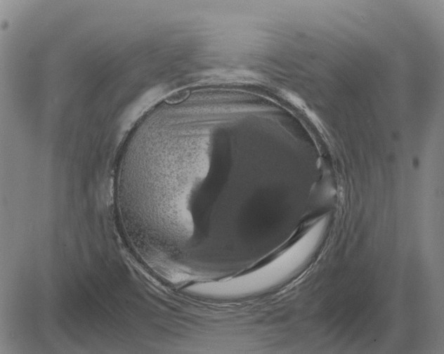 X0000083641459200703051648