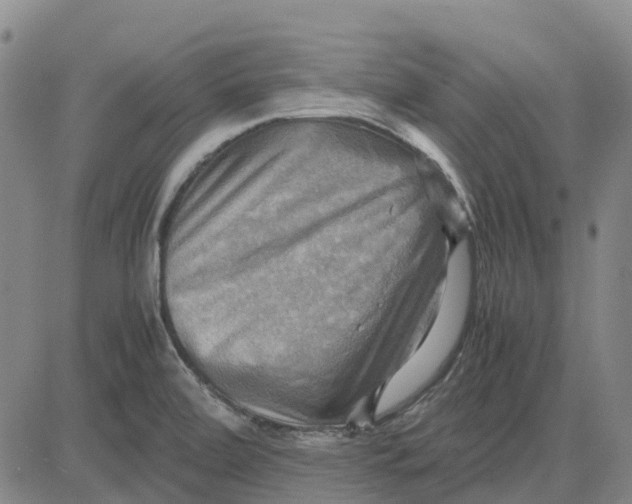 X0000083641472200703051648