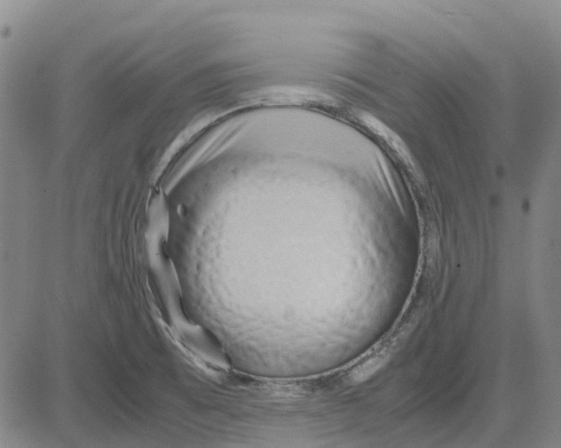X0000083641473200703051648