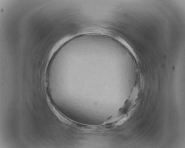 X0000083641485200703051648