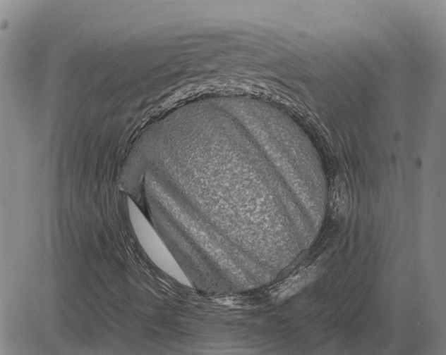 X0000083641490200703051647